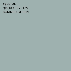 #9FB1AF - Summer Green Color Image